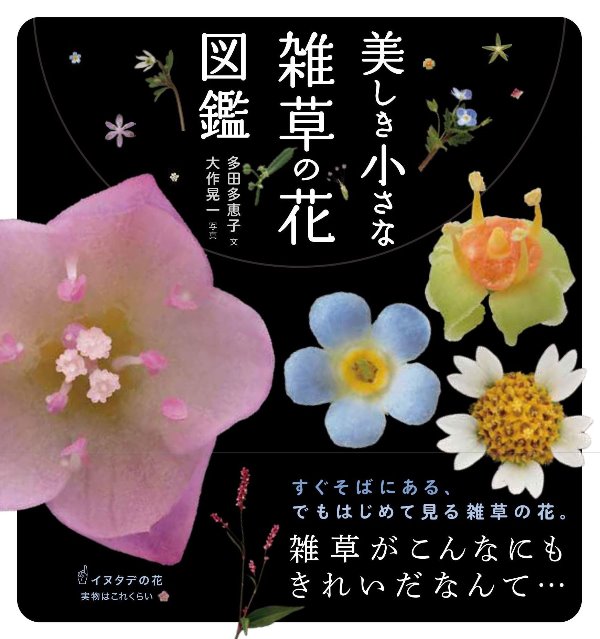 植物 中央区立図書館 植物 中央区立図書館